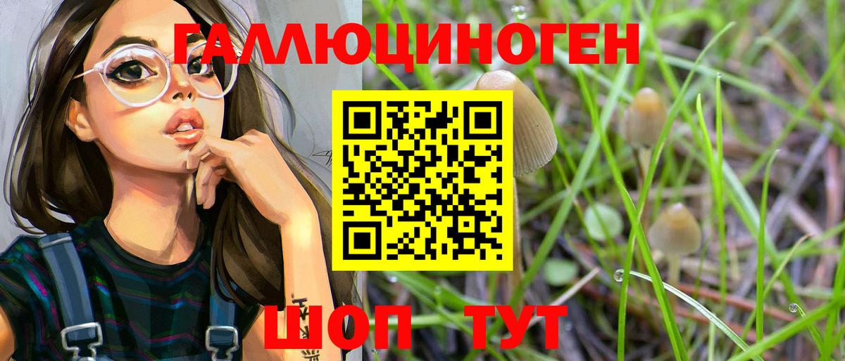 Псилоцибиновые грибы MAGIC MUSHROOMS Новоалександровск